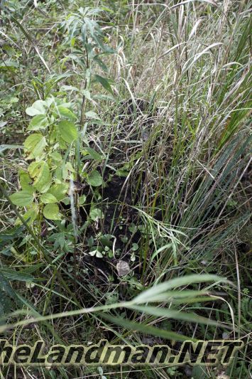 D 800X533 IMG 0547 D 800X533 IMG 0547