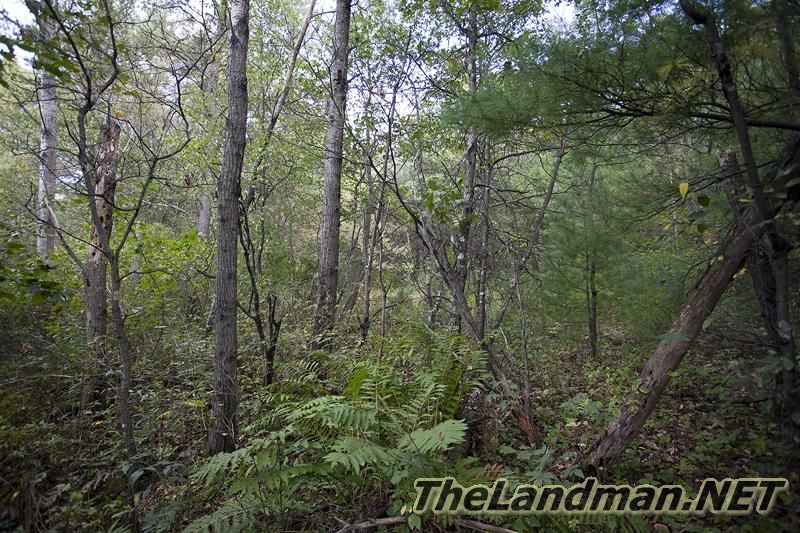 D 800X533 IMG 0548 D 800X533 IMG 0548