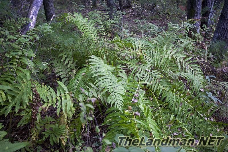 D 800X533 IMG 0549 D 800X533 IMG 0549