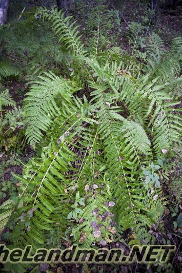 D 800X533 IMG 0550 D 800X533 IMG 0550