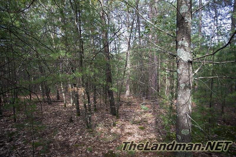 D 800X533 IMG 0551 D 800X533 IMG 0551