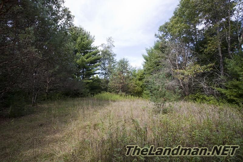 D 800X533 IMG 0552 D 800X533 IMG 0552