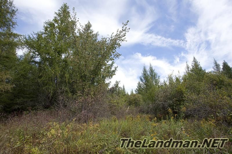 D 800X533 IMG 0553 D 800X533 IMG 0553