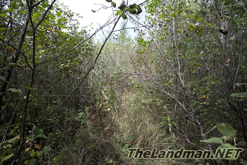 D 800X533 IMG 0554 D 800X533 IMG 0554