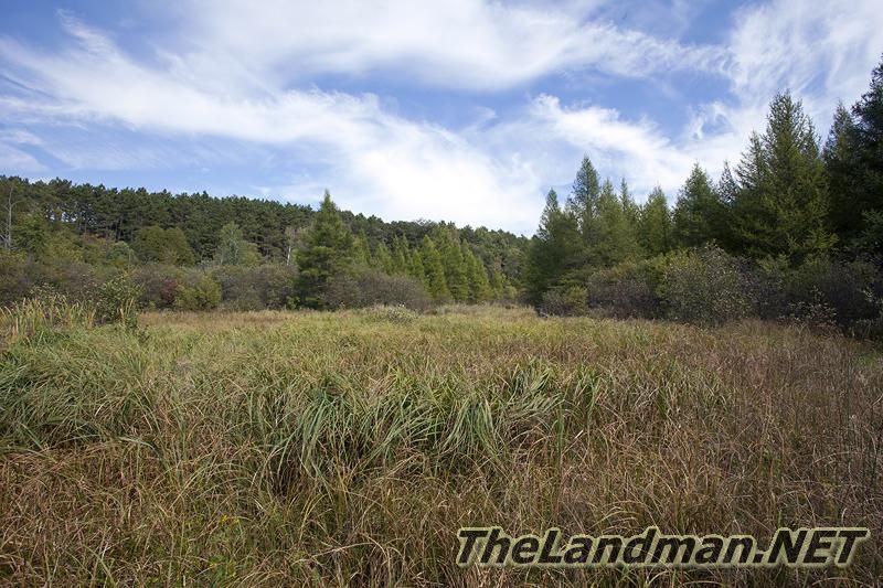 D 800X533 IMG 0555 D 800X533 IMG 0555