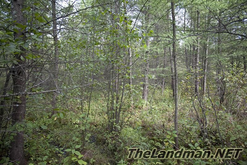 D 800X533 IMG 0556 D 800X533 IMG 0556