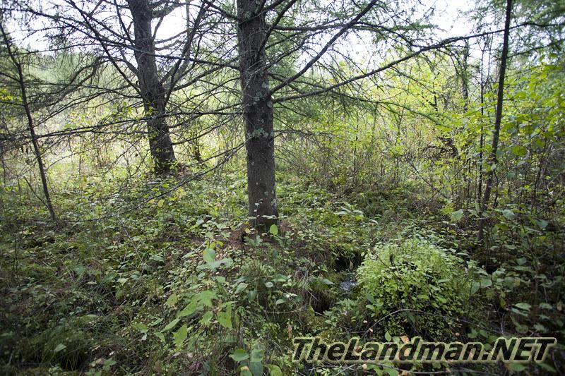 D 800X533 IMG 0557 D 800X533 IMG 0557