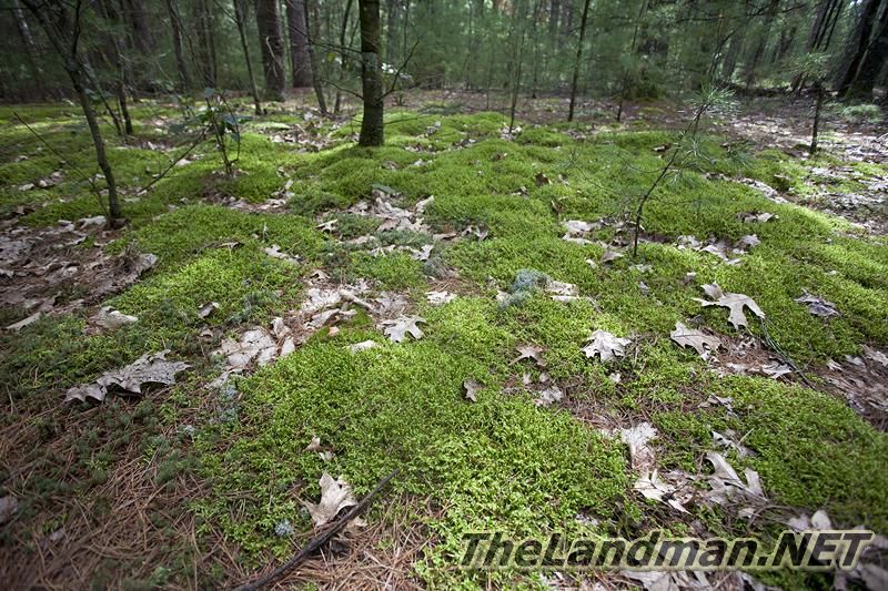 D 800X533 IMG 0558 D 800X533 IMG 0558