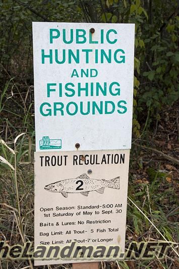 D 335X533 IMG 0917 D 335X533 IMG 0917