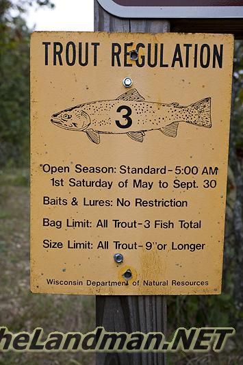 D 335X533 IMG 0945 D 335X533 IMG 0945