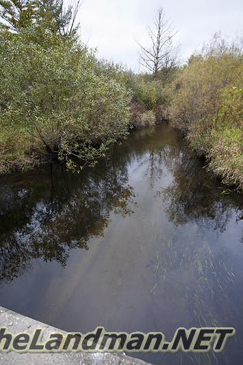 D 335X533 IMG 0953 D 335X533 IMG 0953