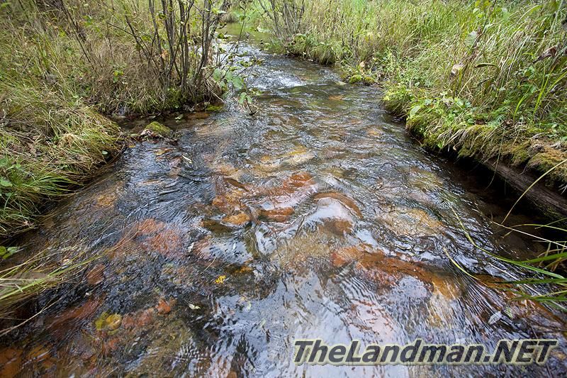 D 800X533 IMG 09216 D 800X533 IMG 09216