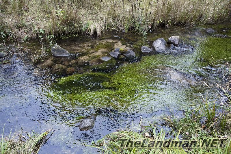 D 800X533 IMG 09268 D 800X533 IMG 09268