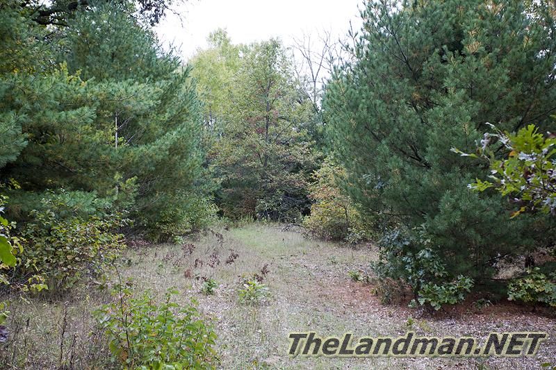 D 800X533 IMG 0947 D 800X533 IMG 0947