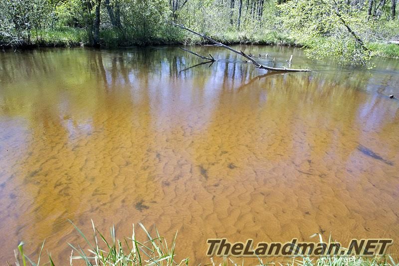 Big Roche-A-Cri Creek Big Roche-A-Cri Creek