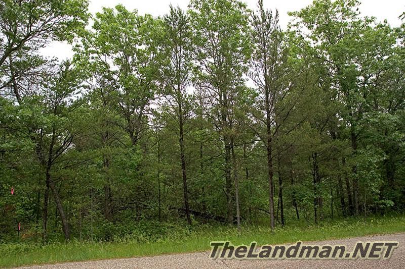 Snowmobile Trails from Gold Crown Estates; Road Frontage Photo. Snowmobile Trails from Gold Crown Estates; Road Frontage Photo.