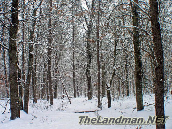 Winter Pictures of Gold Crown Estates Winter Pictures of Gold Crown Estates
