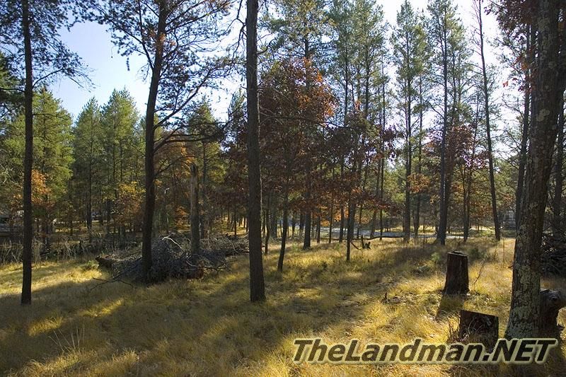 Wooded Lot at Lake Camelot Subdivision