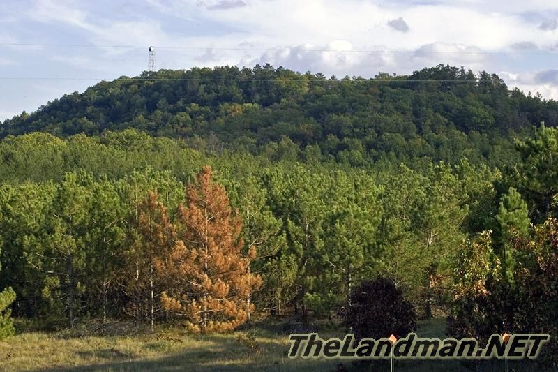 D 800X533 D3Z2184 D 800X533 D3Z2184