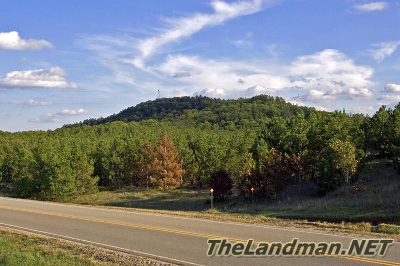 D 800X533 D3Z2186 D 800X533 D3Z2186