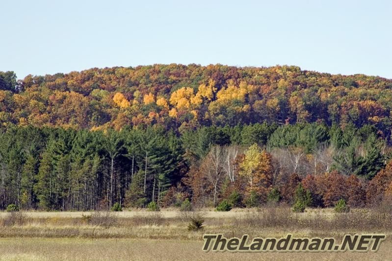 D 800X533 D3Z2658 D 800X533 D3Z2658