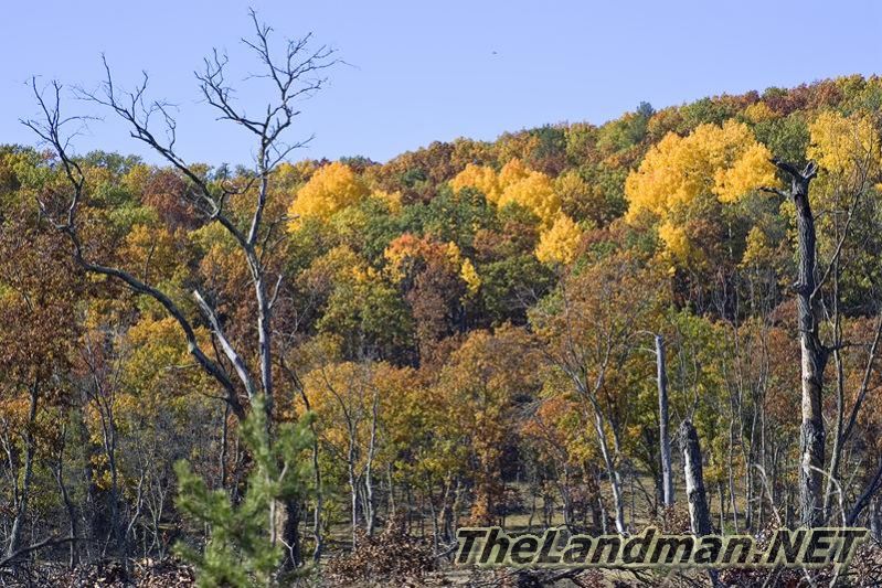 D 800X533 D3Z2666 D 800X533 D3Z2666