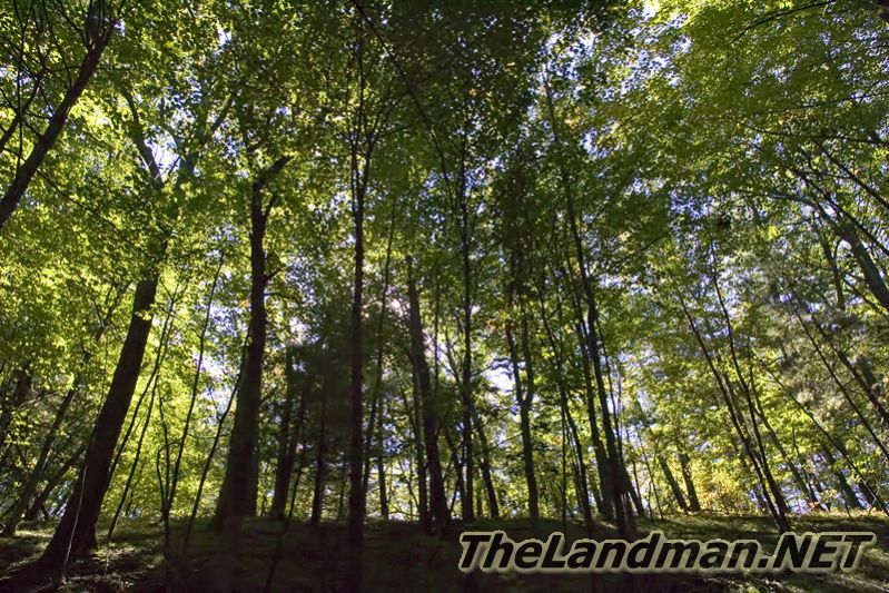 Central Wisconsin Central Wisconsin