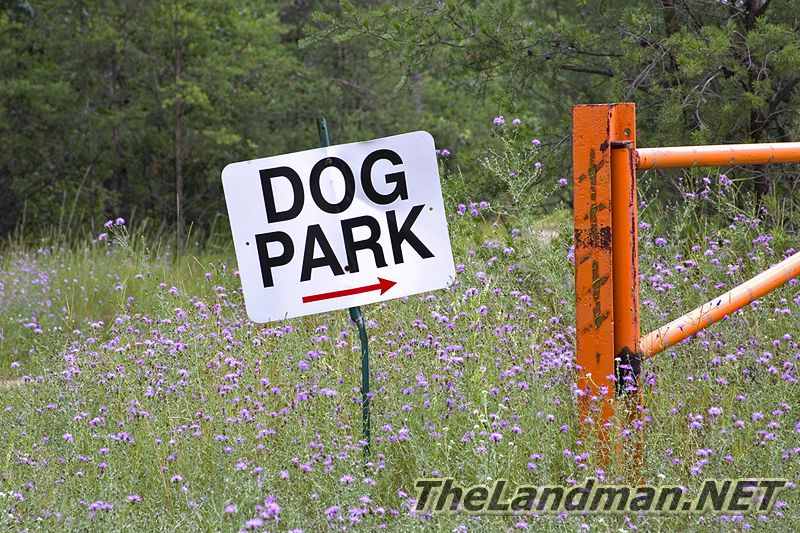 Dog Park Dog Park