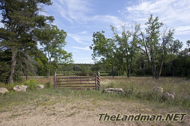 D 800X533 IMG 8764 D 800X533 IMG 8764