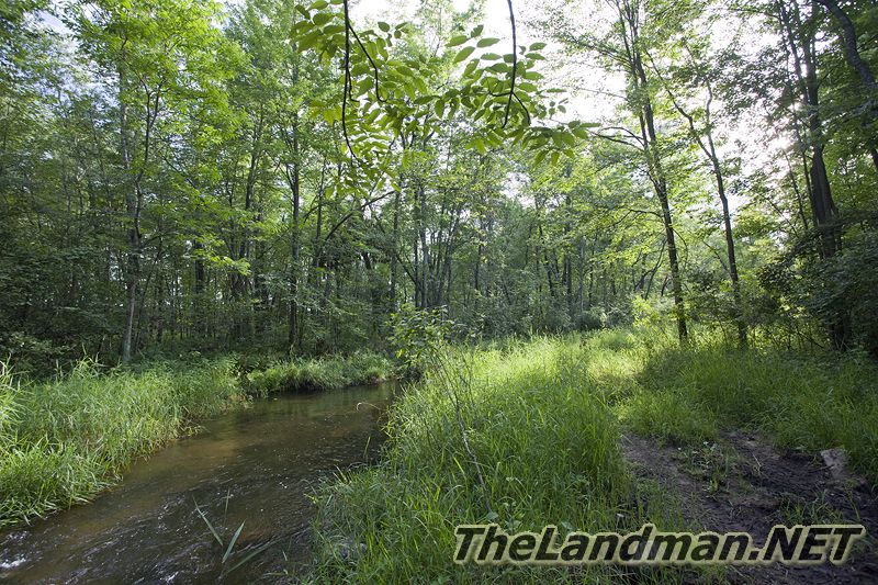 D 800X533 IMG 8800 D 800X533 IMG 8800