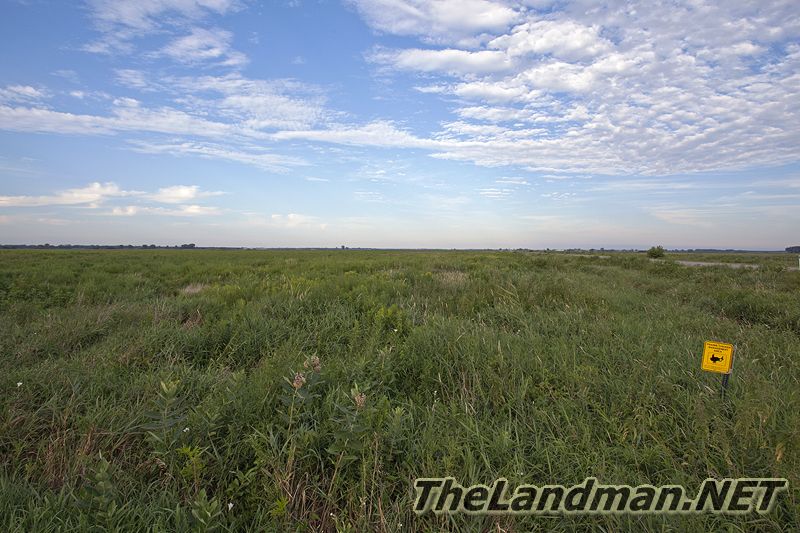 D 800X533 IMG 8812 D 800X533 IMG 8812