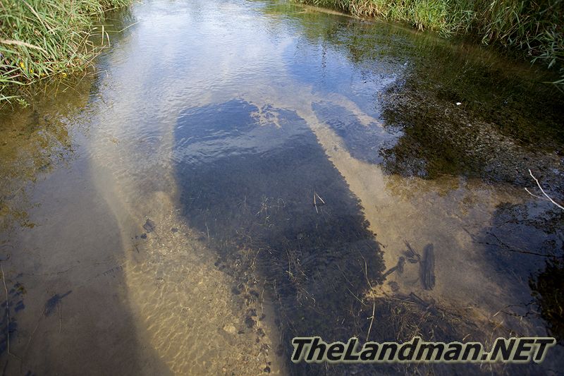 D 800X533 IMG 8768 D 800X533 IMG 8768