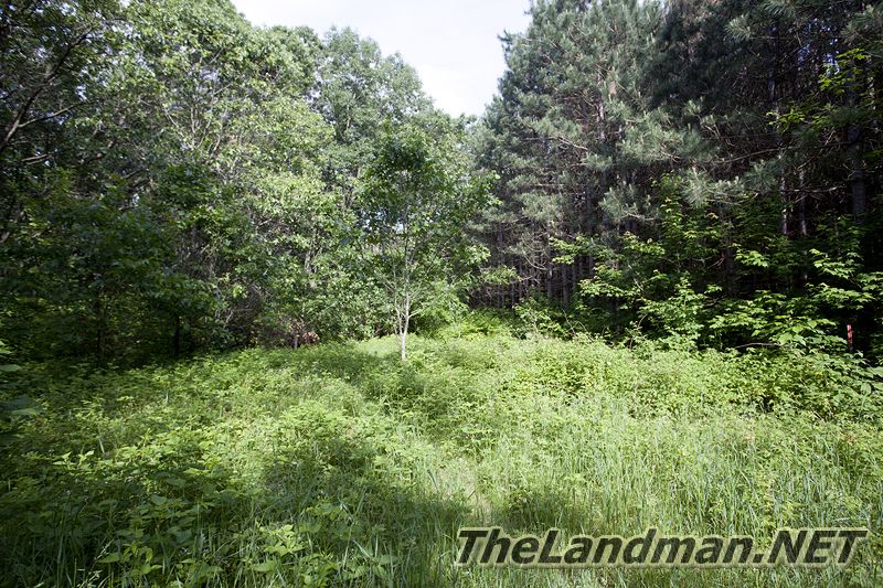 No Motorized Vehicles