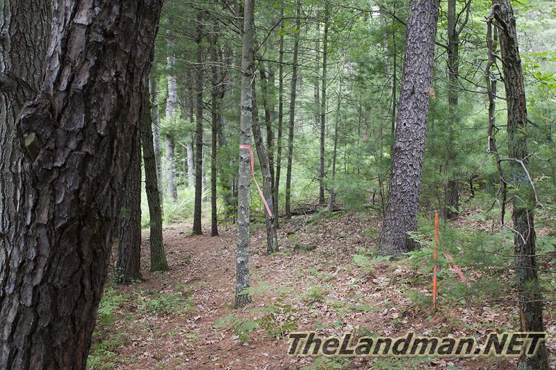 Adams County WI Adams County WI