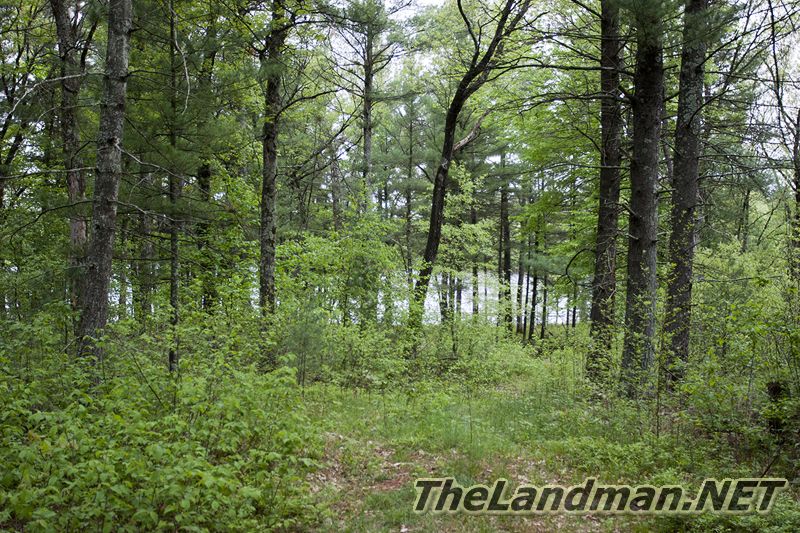 Quincy Township Quincy Township