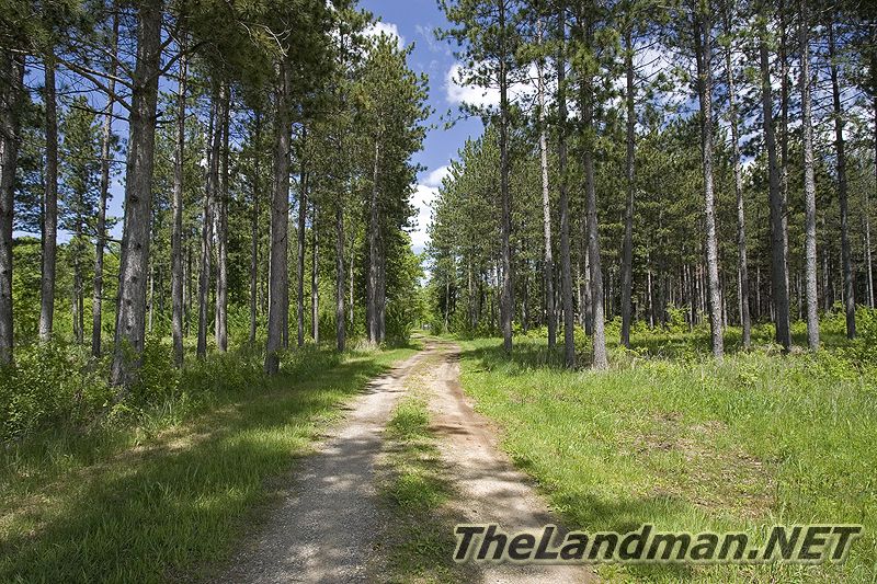 Quincy Township Quincy Township