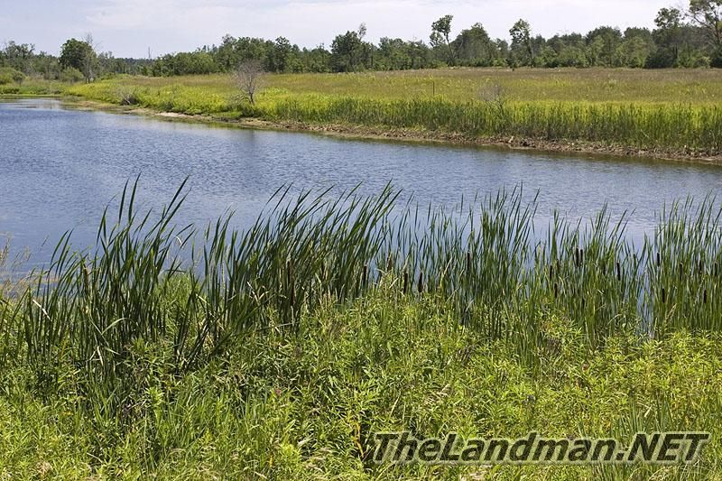 Landman Realty llc 888-696-8695 www.TheLandman.net Landman Realty llc 888-696-8695 www.TheLandman.net