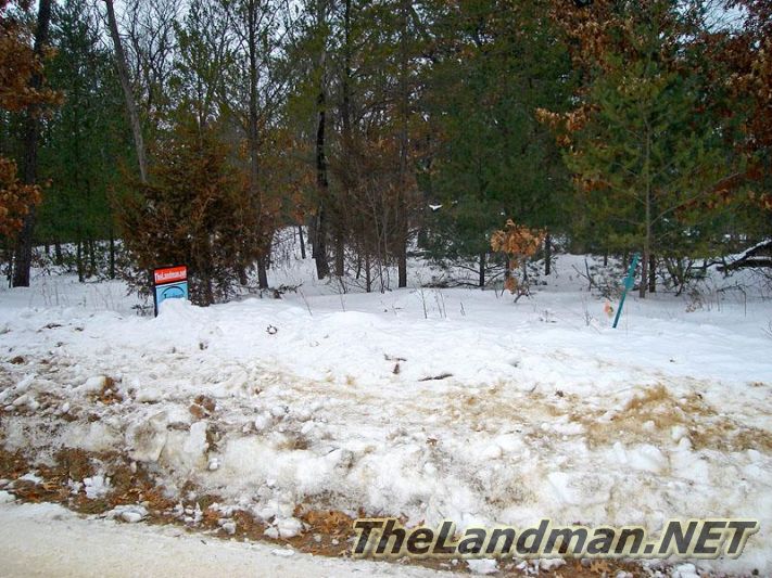 Winter Picture of Dellwood Winter Picture of Dellwood