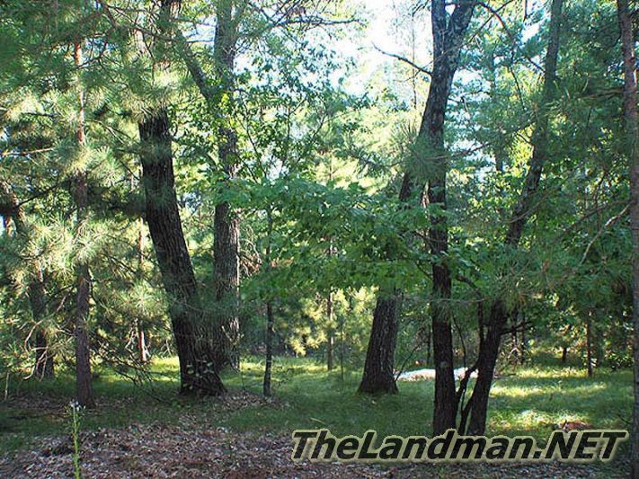 Little Roche-A-Cri Addition to Dellwood one of Dellwood Plat Names Little Roche-A-Cri Addition to Dellwood one of Dellwood Plat Names