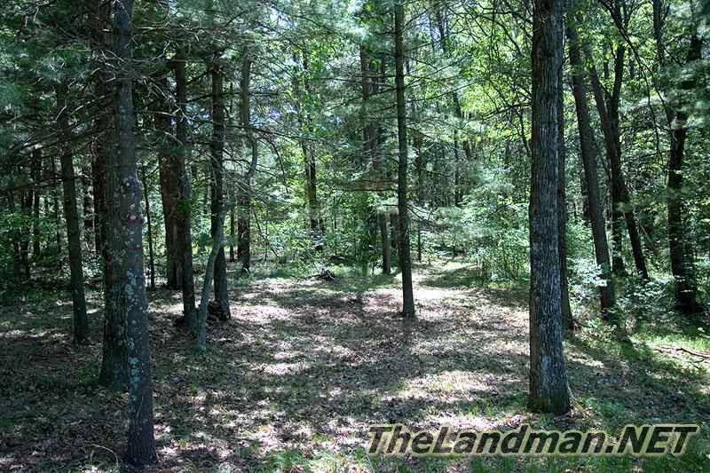 Dellwood is so large it's in 3 different sections of Strongs Prairie Township, WI. Dellwood is so large it's in 3 different sections of Strongs Prairie Township, WI.