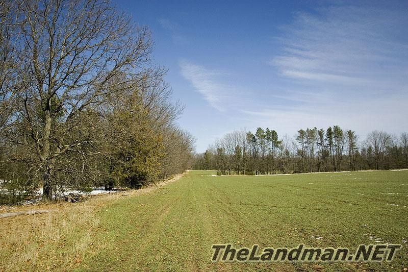 Secluded Meadow at Easton Shores Secluded Meadow at Easton Shores