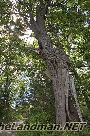 Oxford Area Oxford Area