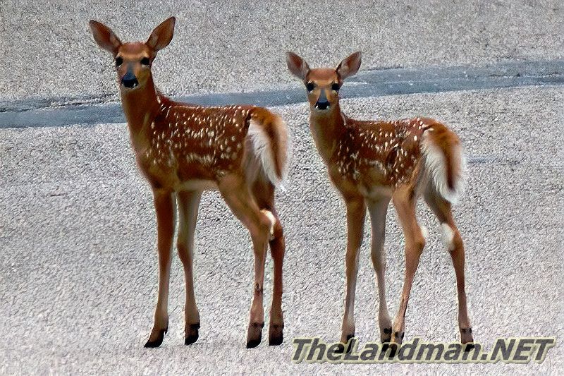 D 800X533 MD3Z3697 D 800X533 MD3Z3697