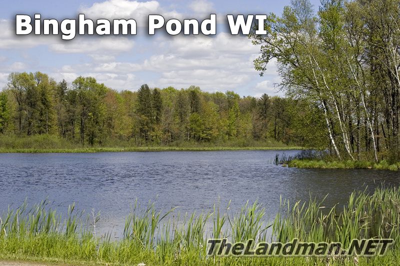 D 800X533 MD3Z4731 Bingham Pond D 800X533 MD3Z4731 Bingham Pond