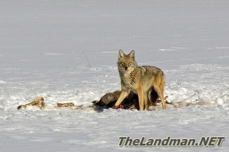 D 800X533 MD3Z5754 D 800X533 MD3Z5754