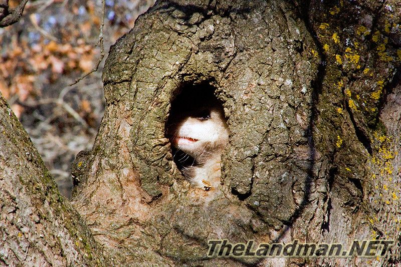 D 800X533 MD3Z6943 D 800X533 MD3Z6943