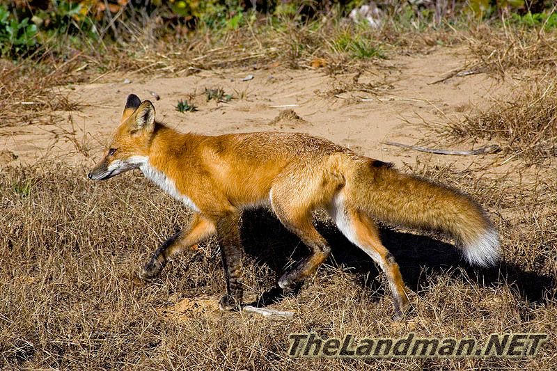 800X533 MD3Z2865 800X533 MD3Z2865