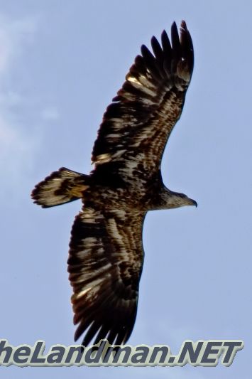 D2 800X533 D3Z4432 D2 800X533 D3Z4432