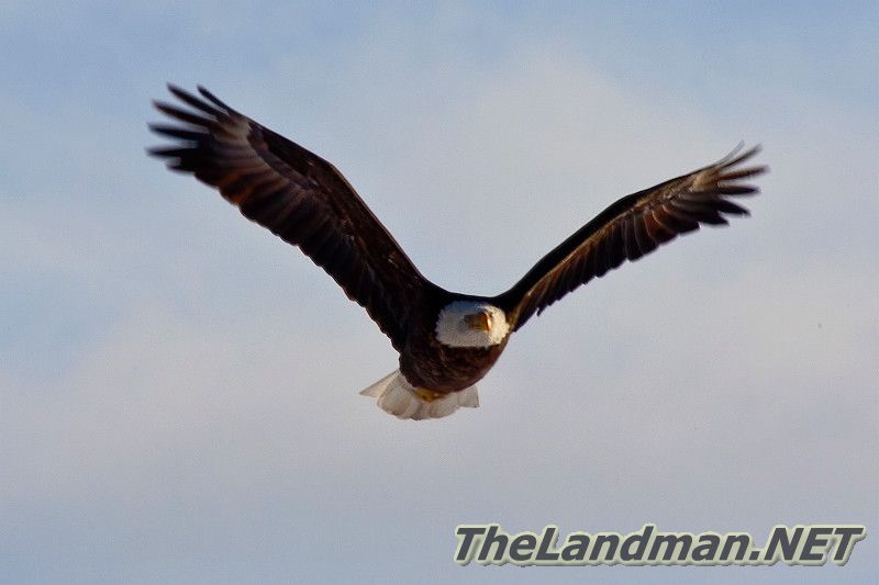 D2 800X533 D3Z6012 D2 800X533 D3Z6012