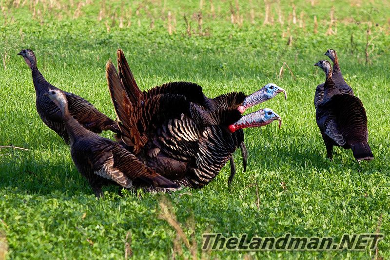 D2 800X533 D3Z6624 D2 800X533 D3Z6624